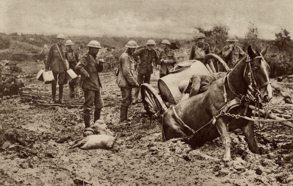 World War I soldiers watch a horse sunk to his haunches in the mud